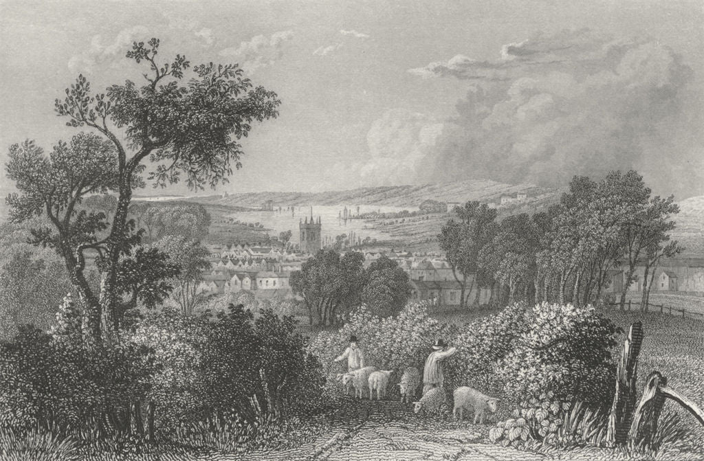 IOW. Newport from the South-Bartlett c1840 old antique vintage print picture